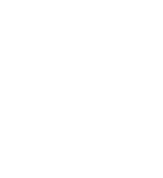 Emory Shield logo for footer, white color.